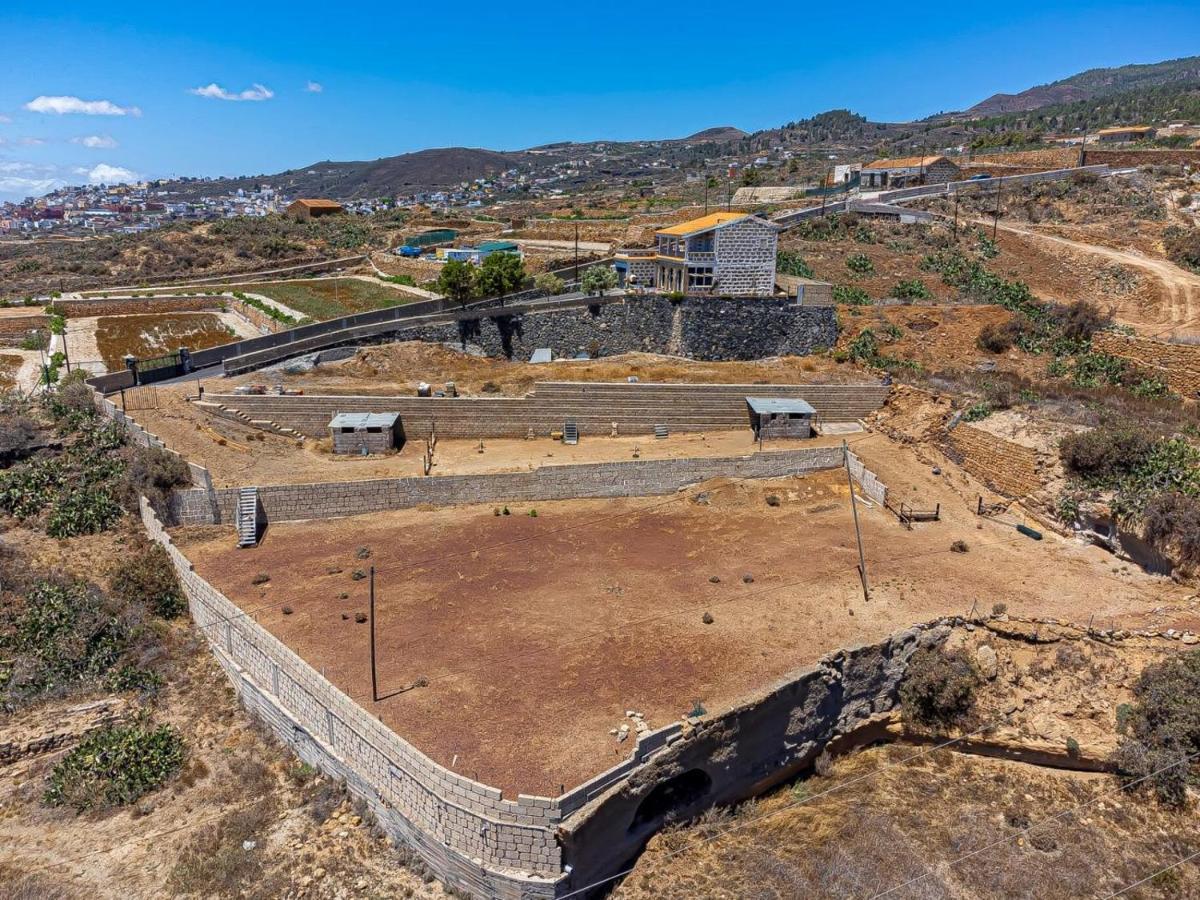 Finca Los Blanquitos Amazing With 3,000 M2 Of Land Granadilla De Abona Luaran gambar